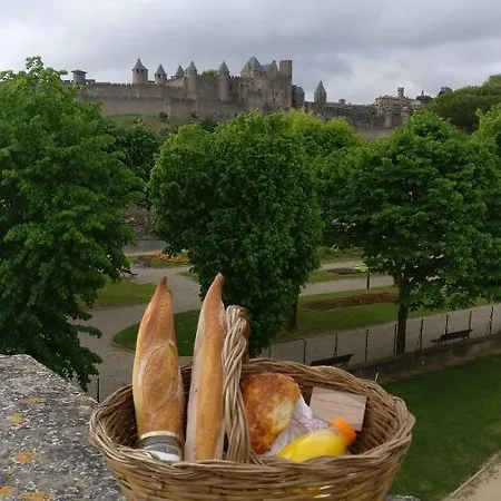 Au Coeur De La Barbacane ! Apt Avec Climatisation Carcassonne